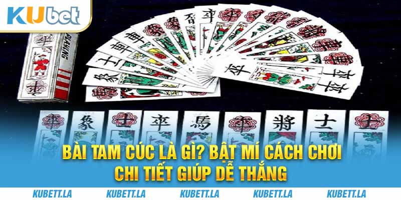 Bài Tam Cúc Là Gì? Bật Mí Cách Chơi Chi Tiết Giúp Dễ Thắng