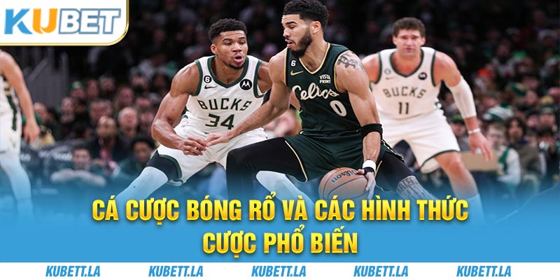 Cá Cược Bóng Rổ Và Các Hình Thức Kèo Cược Phổ Biến