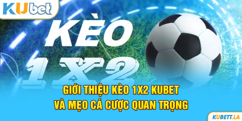 Giới Thiệu Kèo 1x2 Kubet Và Mẹo Cá Cược Quan Trọng