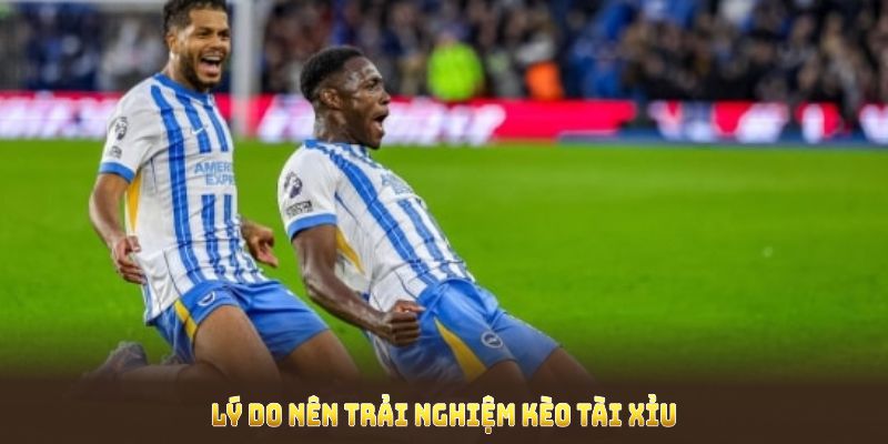 Lý do nên trải nghiệm kèo tài xỉu tại i9Bet ngay từ bây giờ