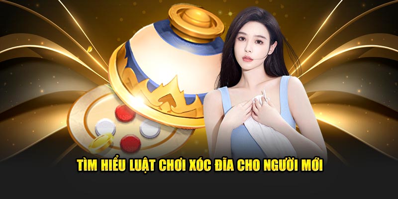 Tìm hiểu luật chơi xóc đĩa cho người mới