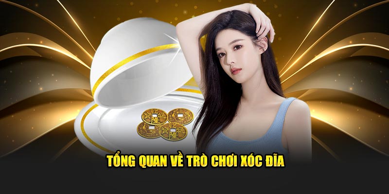 Tổng quan cơ bản về trò chơi xóc đĩa